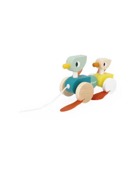 Patos Para Pasear