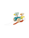 Patos Para Pasear