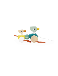 Patos Para Pasear 2
