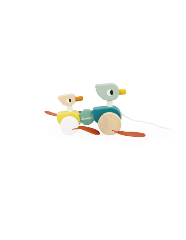 Patos Para Pasear