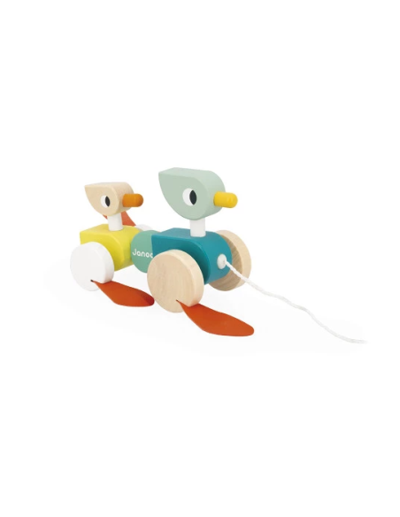 Patos Para Pasear
