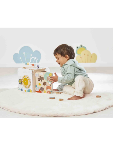 Cubo Multiactividades Pure