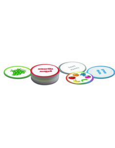 Color What? Class games 2