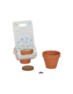 Maceta Planta No Me Olvides Little Dutch 2