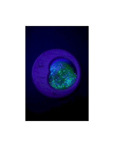 Luna Sensorial Petit Boum