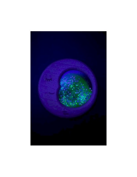 Luna Sensorial Petit Boum