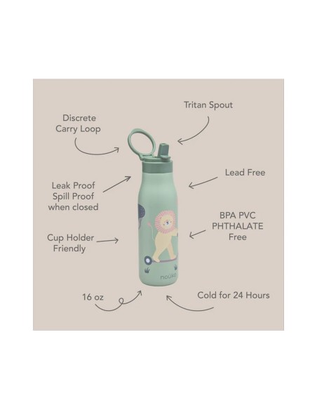 Botella Térmica Daisy Roary The Lion 475ml