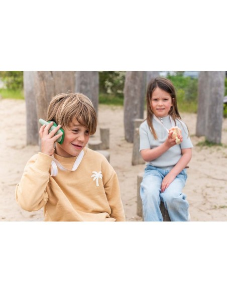 Zoo Walkie Talkie Dino Pink / Dino Green