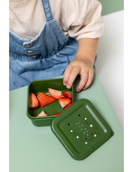 Snack box nesting - 3pcs - Mr. Alligator Trixie