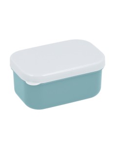 Caja para Fruta Panda in Space 2
