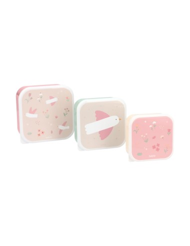 3 Cajas Almuerzo Blossom Birds