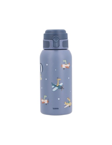 Botella de Acero Térmica Planes 500ml