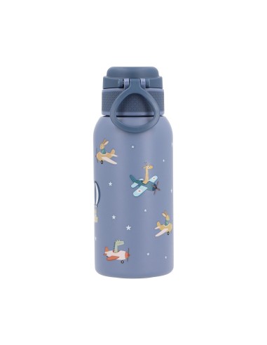 Botella de Acero Térmica Planes 500ml