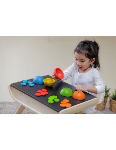 Ordens y cuenta Plantoys