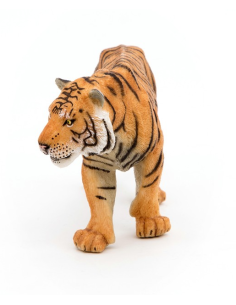 Tigre - Papo