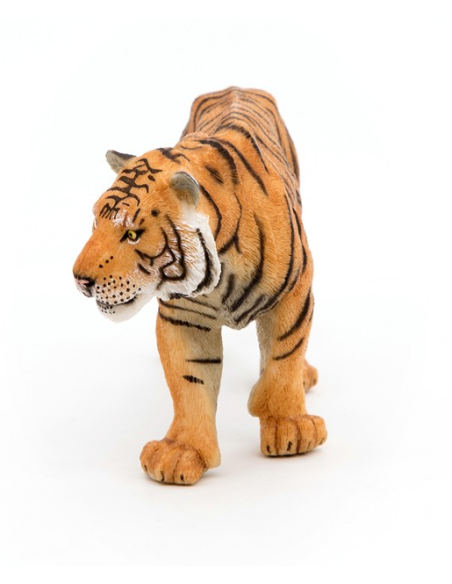 Tigre - Papo