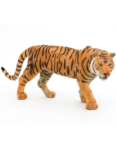 Tigre - Papo