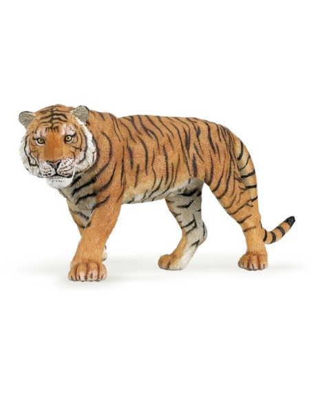 Tigre - Papo