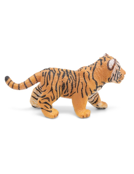 Cachorro de Tigre - Papo