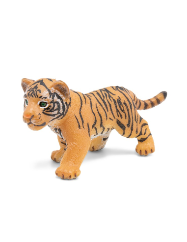 Cachorro de Tigre - Papo