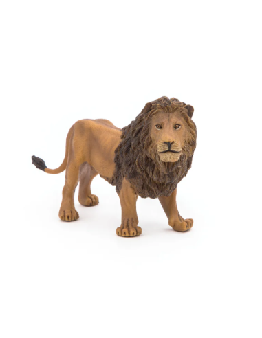 León  - Papo