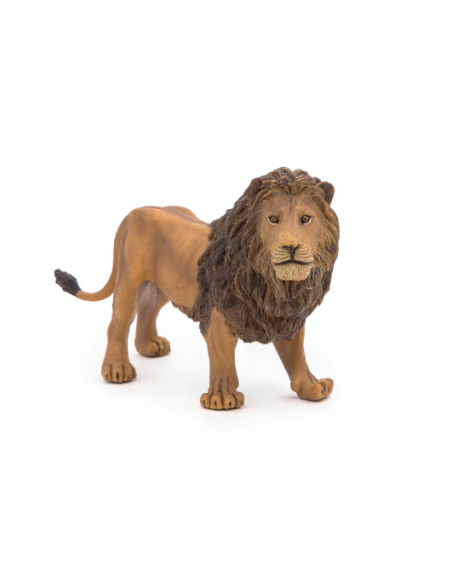 León  - Papo