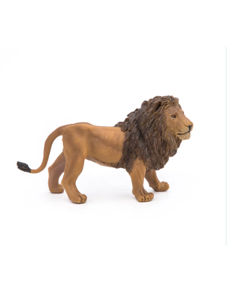 León  - Papo
