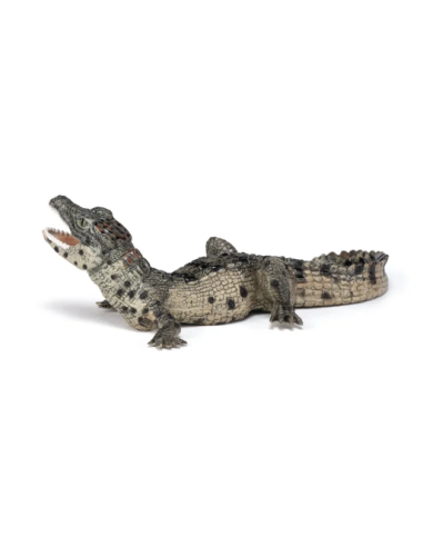 Figura de cocodrilo bebé  - Papo