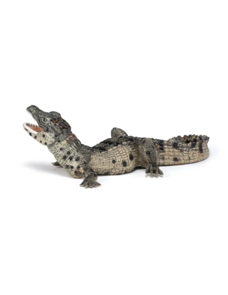 Figura de cocodrilo bebé  - Papo