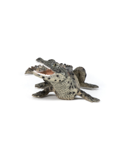 Figura de cocodrilo bebé  - Papo