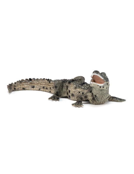 Figura de cocodrilo bebé  - Papo