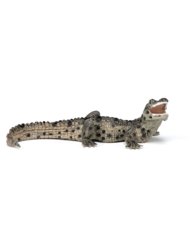 Figura de cocodrilo bebé  - Papo