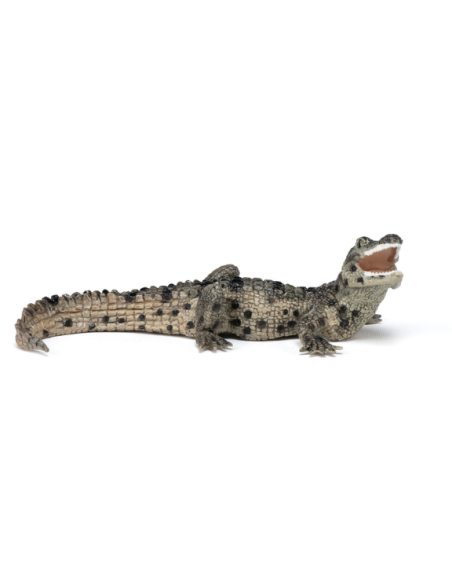 Figura de cocodrilo bebé  - Papo