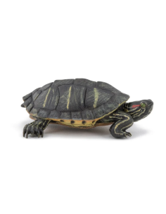 Figura de tortuga de Florida - Papo 2
