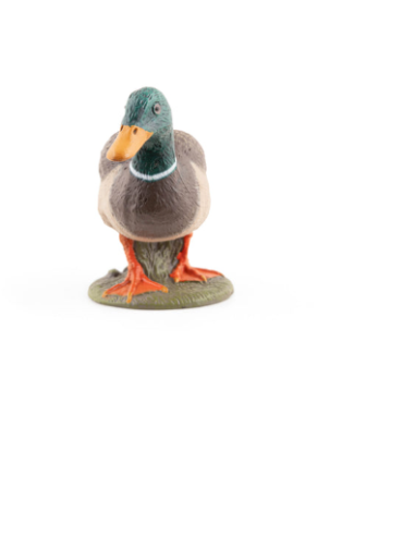 Figura de pato Colvert - Papo
