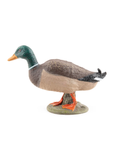 Figura de pato Colvert - Papo