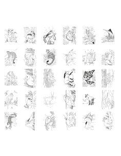 KIDYDRAW PAD Animales JuegaConmigo 2