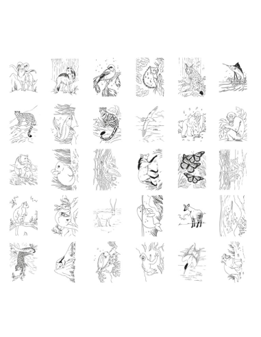 KIDYDRAW PAD Animales JuegaConmigo