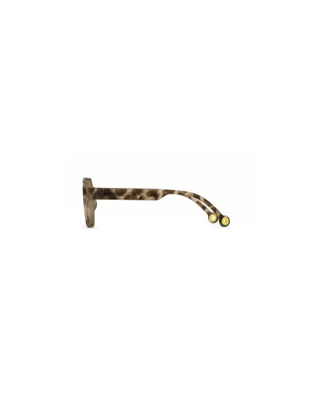 Gafas sol Creative de Tortoisehell 5-12a