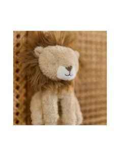 León Musical Safari Friends Little Dutch 2