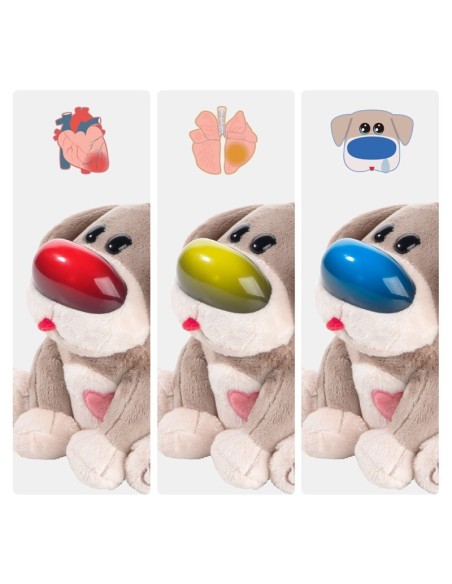 Cuidado de mascotas - Dr. Dog Topbright