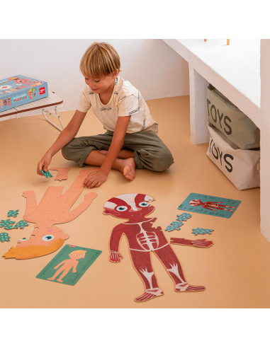 Puzle educativo Cuerpo Humano Apli