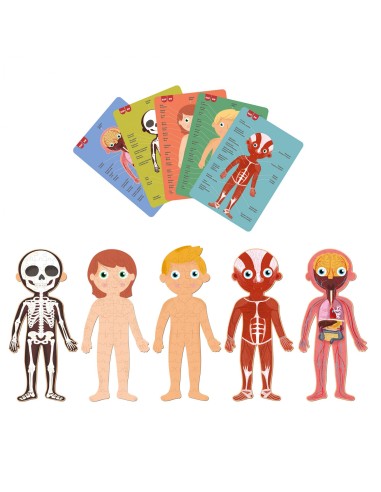 Puzle educativo Cuerpo Humano Apli