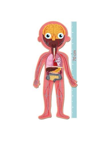 Puzle educativo Cuerpo Humano Apli