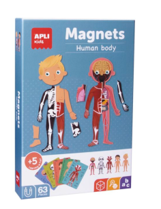 Magnético Cuerpo Humano  Apli