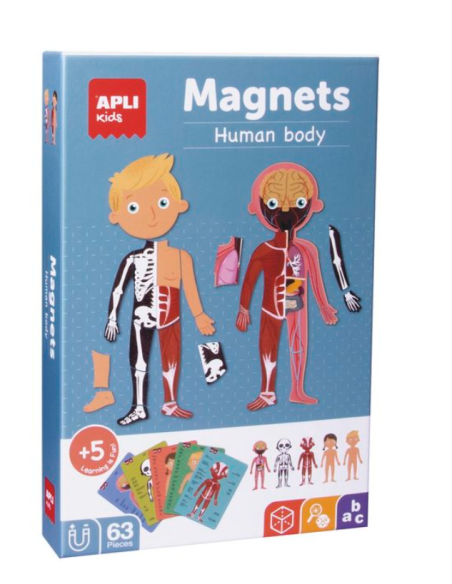 Magnético Cuerpo Humano  Apli