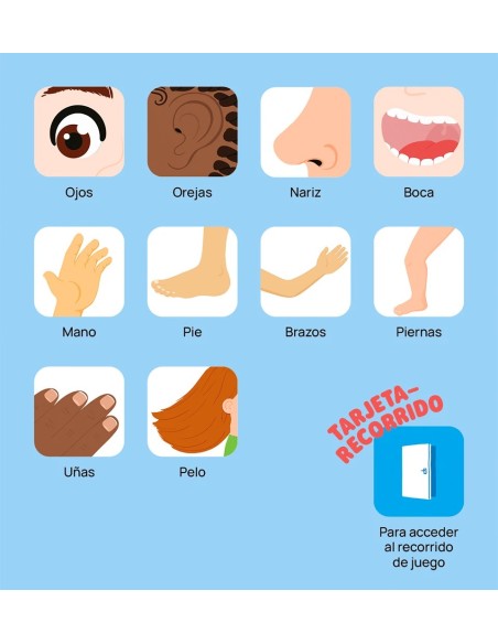 Primeros descubrimientos: el cuerpo