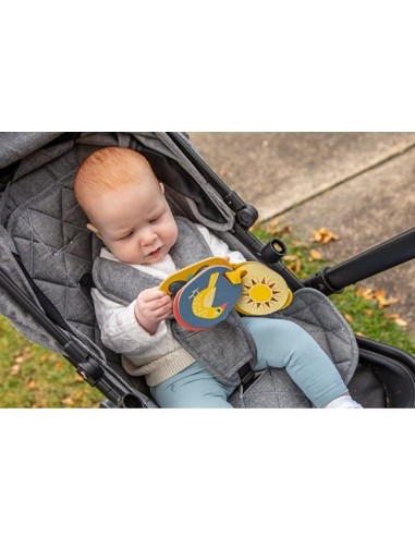 Tarjetas educativas animales Tiger Tribe