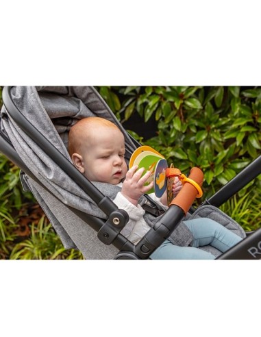 Tarjetas educativas Transportes Tiger Tribe