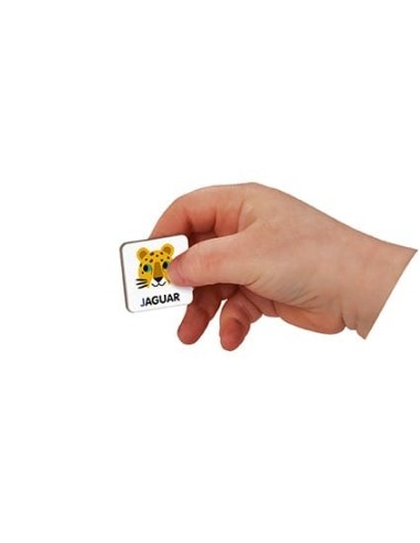 Magneti Book Alfabeto inglés Janod